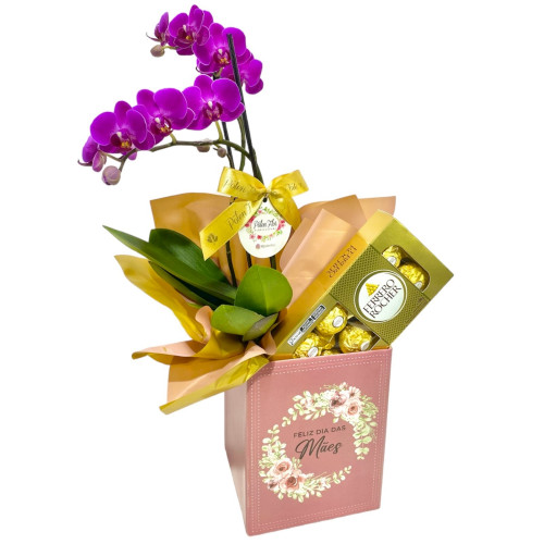 Mini Orquídea c/ Ferrero Mãe