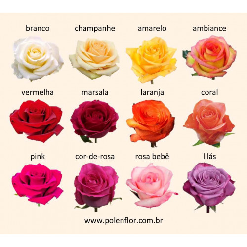 Buquê de Noiva - Rosas Bicolor