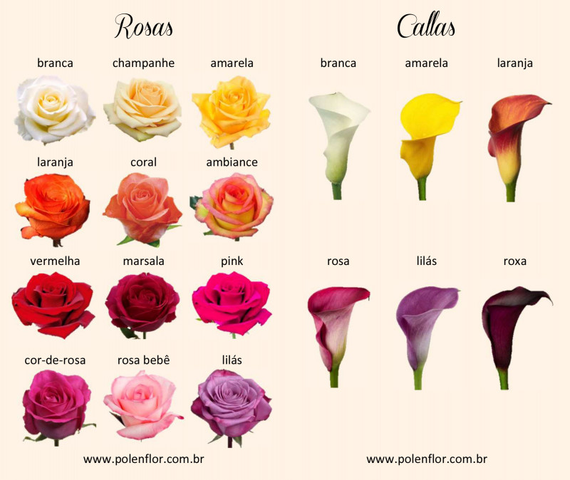 Buquê de Noiva - Rosas e Callas - Buquês de Noiva - Flores | Pólen Flor  Floricultura | São José do Rio Preto